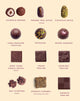 Chocolove Luxe